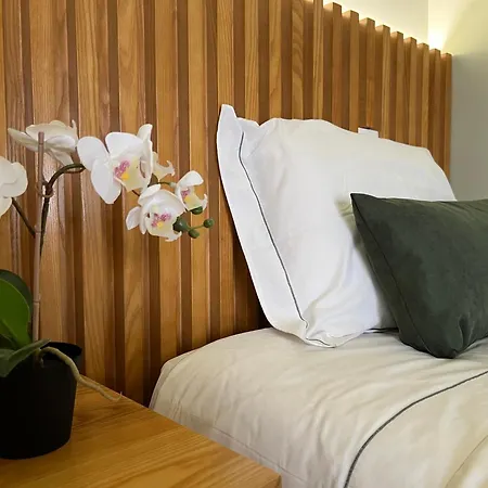 Casa De Lencastre, Refugio Elegante Entre Tradicao E Modernidade Viana do Castelo